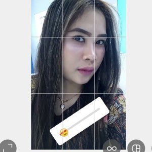 Lailis Retno Palupi profile icon