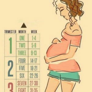 bakalmommy profile icon