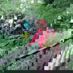 Endah Paridah profile icon