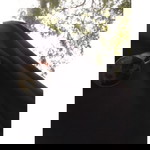 Ana Ismaheni profile icon