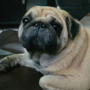 single mom profile icon