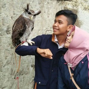 Wisnu Andriyani profile icon