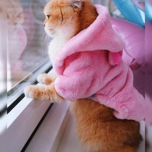 Nur Miati profile icon