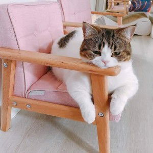 Hana Bella profile icon