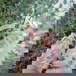 Mia Mukhlis profile icon