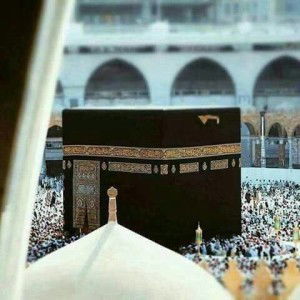 Dewi Hamzah profile icon