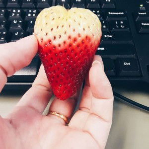 น้องแฝด น้องแฝด profile icon