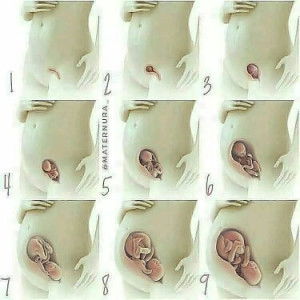 bahagia profile icon