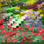 Princess Marababol - Matañoza profile icon