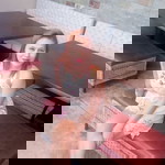 Rhea Dagoc profile icon