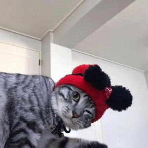 พิม profile icon