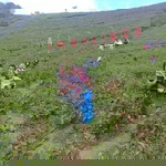 Arjun Soyam profile icon