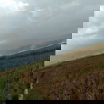 Riskaa Aries profile icon