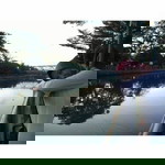 Fitri Asih profile icon