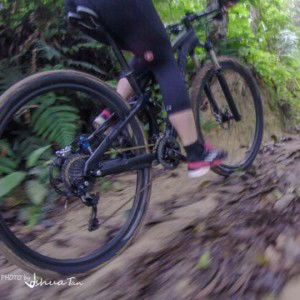 Agnes Chan profile icon