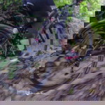 Agnes Chan profile icon