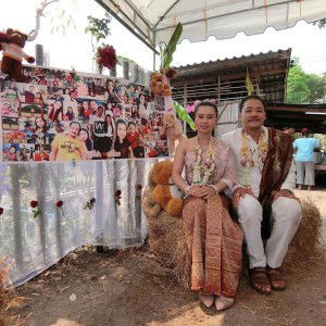 Powerpig Zeed profile icon