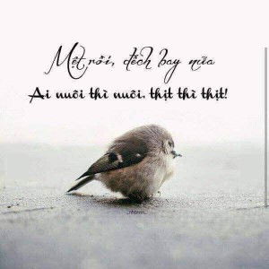 Phúc Khang profile icon