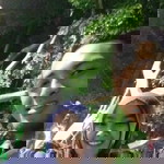 Maniezt Puji Lestari profile icon