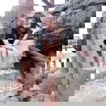 Nang AllNang profile icon