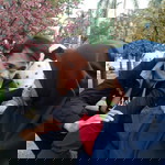 Nur afipah_wahid hasim profile icon