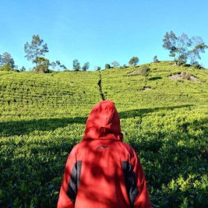 Umma Keyaan profile icon