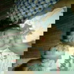 Marissa Cuchapin Roque profile icon