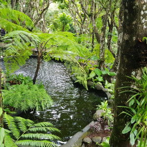 A.Leigh profile icon