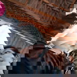 Noo VHii Etharhistia Nii profile icon