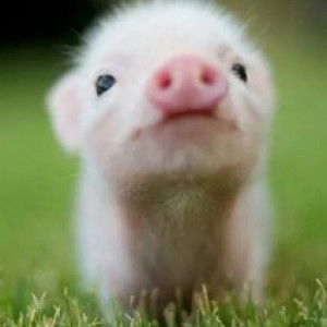 พลอย'ยย profile icon