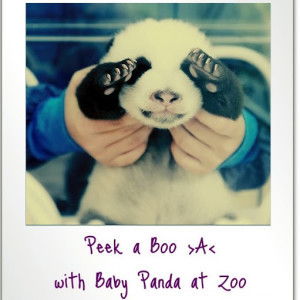 C.Hapsari profile icon