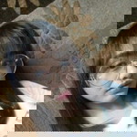 AnnieJane Viñas profile icon