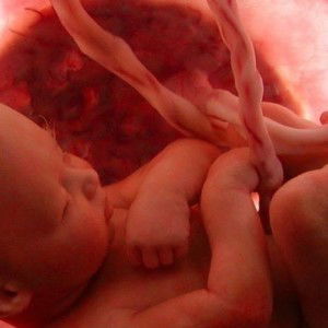 اينا يانا profile icon