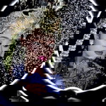 Gepenk SeVent profile icon