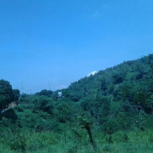 Yuni Anisa profile icon