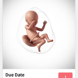 nur hidayah profile icon