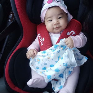 spiderpig profile icon