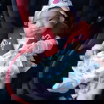 spiderpig profile icon