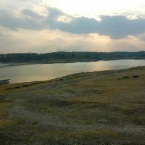 tari sansan profile icon