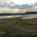 tari sansan profile icon