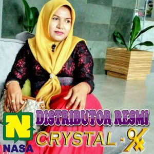 Rini Karlina profile icon