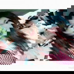 Kard Orawan profile icon