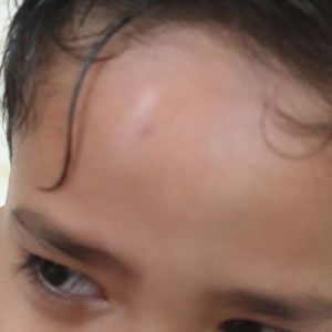 ummu ahmad profile icon