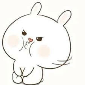 Ana Mahmudi profile icon