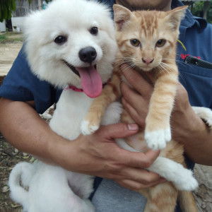 จอยจุ้บ profile icon