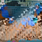 Nadya Alfiyani Balnis profile icon