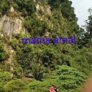 Zera Zulakmal profile icon