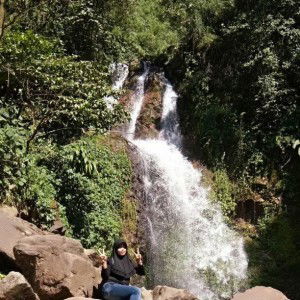 Lievy Iskandar profile icon