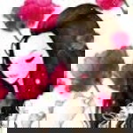 Fathima Shahima profile icon