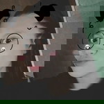 Kim A Bartolay profile icon